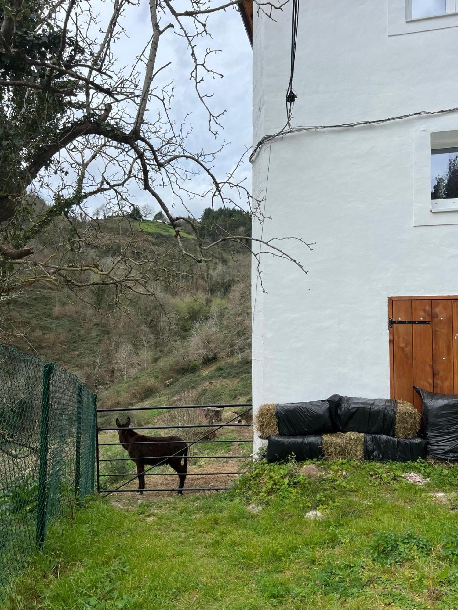Fantastico Retiro Rural En El Corazon De Euskadi Apartment Elgoibar Luaran gambar